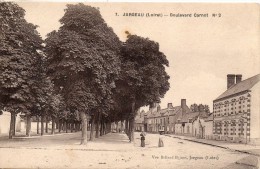 45. Jargeau. Boulevard Carnot - Jargeau