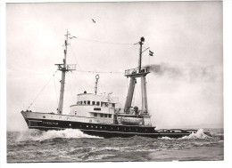 N.V. Bureau Wijsmuller - Ijmuiden Holland - Oceangoing Motor Tug " Friesland " - MS " Triton "  - Schiff - Ship - Rimorchiatori