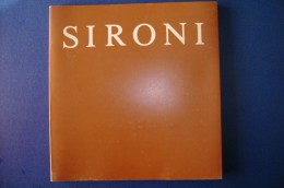 PFR/53 CATALOGO MOSTRA Palazzo Liceo Saracco - Acqui Terme 1982 MARIO SIRONI - Kunst, Antiek