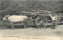 64 PAYS BASQUE - Attelage De Boeufs Transportant Du Bois - Altri & Non Classificati