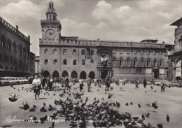 Italie,italia,emilia Romagna,bologna,bologne En 1962,place Majeure,palais Du Maire,piazza Maggiore,pigeon - Bologna