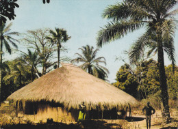 AFRIQUE,AFRICA,AFRIKA,SEN EGAL,CASAMANCE,M LOMP,PAILLOTTE,maison Familiale - Senegal