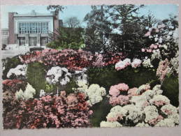 Gent Gentse Floraliën 1960 Floralies Gantoises - Menorca