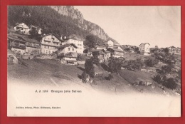 BGRA-13 Les Granges Sur Salvan, Cachet Salvan 1905 Vers Seine Et Oise - Granges