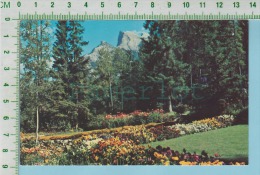 Banff Canada ( Garden At The Administration Building  ) Post Card Carte Postale - Banff