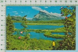 Banff Canada ( Mount Rundle And The Vermillion Lake  ) Post Card Carte Postale - Banff