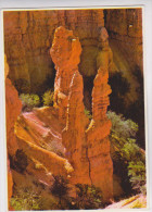 CPM BRYCE CANYON, PINNACLE ROKS - Bryce Canyon