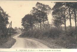 NORD PAS DE CALAIS - ARTOIS - BOULONNAIS - DESVRES - Route De Sortie De La Forêt - Desvres