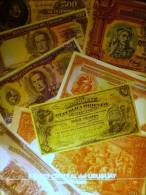 ® Los Billetes De Los Bancos Oficiales Del Uruguay (1896-1989) - Libri & Software