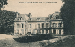 Environs De CHATILLON COLIGNY - Château De RIVIERE - Chatillon Coligny