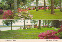 Grove Point Island Savannah Georgia - Savannah