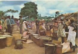 IMAGES  DU GABON, Marche D Arachides Dan La NN Gounie,   Vintage Old Photo Postcard - Gabon