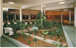 Lawton OK Oklahoma, First Methodist Church Building Interior View, C1950s/60s Vintage Postcard - Altri & Non Classificati