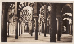 Grande Foto Original Enero 1924 CORDOBA (Cordoue) - Dentro De La Mezquita (A54) - Córdoba