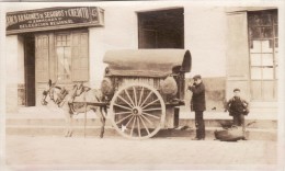 Foto Original Enero 1924 SEVILLA (Séville) - Un Comerciante De Carboncillo, Zaragoza, Delegacion Regional, Burros (A54) - Sevilla