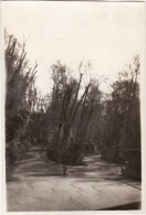 Foto Original Febrero 1924 GRANADA (Grenade) - Ruta De Alhambra (A54) - Granada