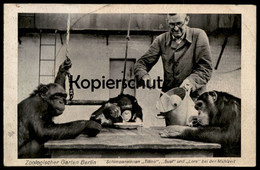 ALTE POSTKARTE ZOO BERLIN SCHIMPANSE TITINE SUSI LORE FEEDING CHIMPS JARDIN ZOOLOGIQUE ZOOLOGICA Chimp Chimpanzé Affe AK - Singes