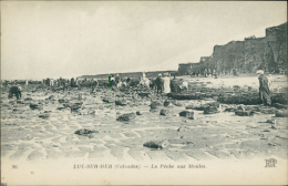 14 LUC SUR MER / Luc-sur-Mer, La Pêche Aux Moules / - Luc Sur Mer