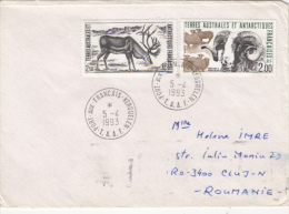 REINDEER, BIZET SHEEP, STAMPS ON COVER,  1993, TAAF - Lettres & Documents