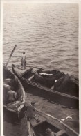 Foto Original Febrero 1924 MELILLA - Vacas En Los Barcos Antes De Ser Embarcados En Un Barco (A54) - Melilla