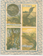 Cahier D´écolier Des Années 1950 L'échidné, L'ornithorynque, Le Cobra, Le Boa, L'alligator - Coberturas De Libros