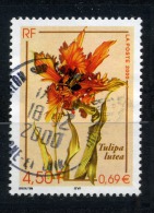 CACHET ROND SUR N° 3335  TULIPA LUTEA - Andere & Zonder Classificatie