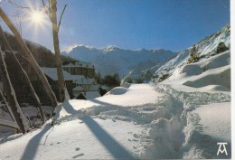 BF544 Les Pyrenees Sous La Neige La Trace Du Slitair E   2 Scans - Arthez De Bearn