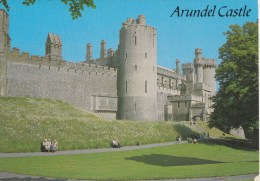 BF561 The Walls Arundel Castle   2 Scans - Arundel