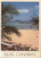 BF1327 Canalejo Islas Canarias  2 Scans - Andere & Zonder Classificatie