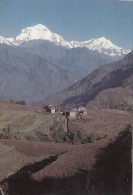 BF1560 Dhaulagiri    2 Scans - Népal