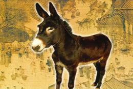 SA07-017  @     Anes Esel  Donkey Burros Y Asnos ,    ( Postal Stationery , Articles Postaux ,  Postsache F ) - Esel
