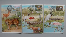 Brasilien 2041/3 Yt 1666/8 Maximumkarte MK/MC, Orts-ESST Campo Grande, Naturschutz, Tiere Im Pantanal Von Mato Grosso - Maximum Cards