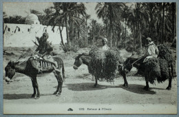 RETOUR à L'OASIS. - Sahara Occidental