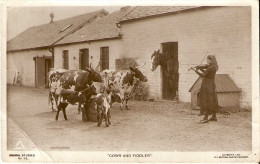 Animals Animaux Cows And Fiddler Violoniste 1919 (plis) - Kühe