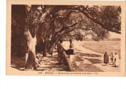 ALGERIE----BISKRA----Sous -bois Au Jardin Landon---voir 2 Scans - Biskra