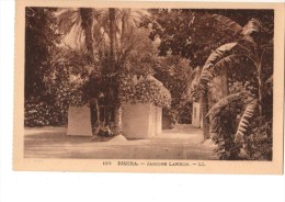 ALGERIE-- BISKRA---jardin Landon --voir 2 Scans - Biskra