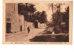 ALGERIE-- BISKRA---une Rue De L'oasis-bas-Darb---palmiers -Dattiérs --voir 2 Scans - Biskra