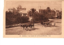 ALGERIE--  BISKRA --le Casino Et Le Palace Hôtel---voir 2 Scans - Biskra