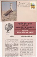 FDC + Information On International Symposium On Bustards, Bustard, Bird,  India 1980 - Hühnervögel & Fasanen