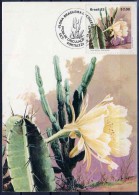 Brèsil Cactus Cereus Jamaracu Carte Maximum 1983 Brasil Brazil Cactus Maxicard - Cactus