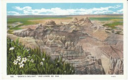 Badlands SD South Dakota, 'Dantes Delight' Barren Terrain C1910s/20s Vintage Postcard - Sonstige & Ohne Zuordnung