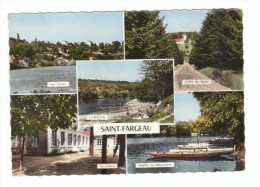 SAINT-FARGEAU (Seine Et Marne) - CPSM - 5 Vues : Allée Des Sapins, Baignade, VILLERS Le Débarcadère, Colonie - Saint Fargeau Ponthierry