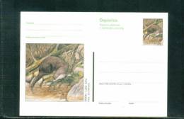 Slowenien / Slovenia Otter Ganzsache /  Otter Postcard - Other & Unclassified