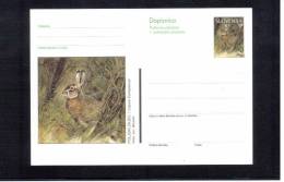 Slowenien / Slovenia Hase / Rabbit Ganzsache / Postcard - Lapins