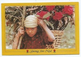 Asie > Népal GREETINGS From NEPAL  NAMASTE  Thakali Girl Carrying Rhodedendrons (Rhododendron Enfant Petite Fille) - Nepal