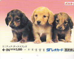 JAPON / TITRE DE TRANSPORT TOKYO / - Hunde