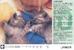 JAPON / TITRE DE TRANSPORT TOKYO / - Gatti