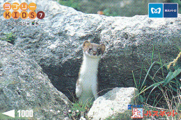 JAPON / TITRE DE TRANSPORT TOKYO / FURET - Sonstige & Ohne Zuordnung