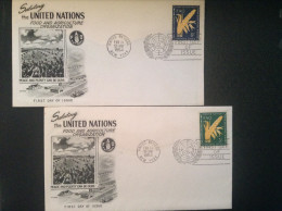 UN-NY, 1954 FDCs (x2) - UN FAO  First Day Of Issue - FDC