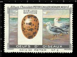 Old Original Swiss Poster Stamp (advertising Cinderella, Label) Bird Egg Vogel Eier Seemöwe Seagull Ornithology - Möwen